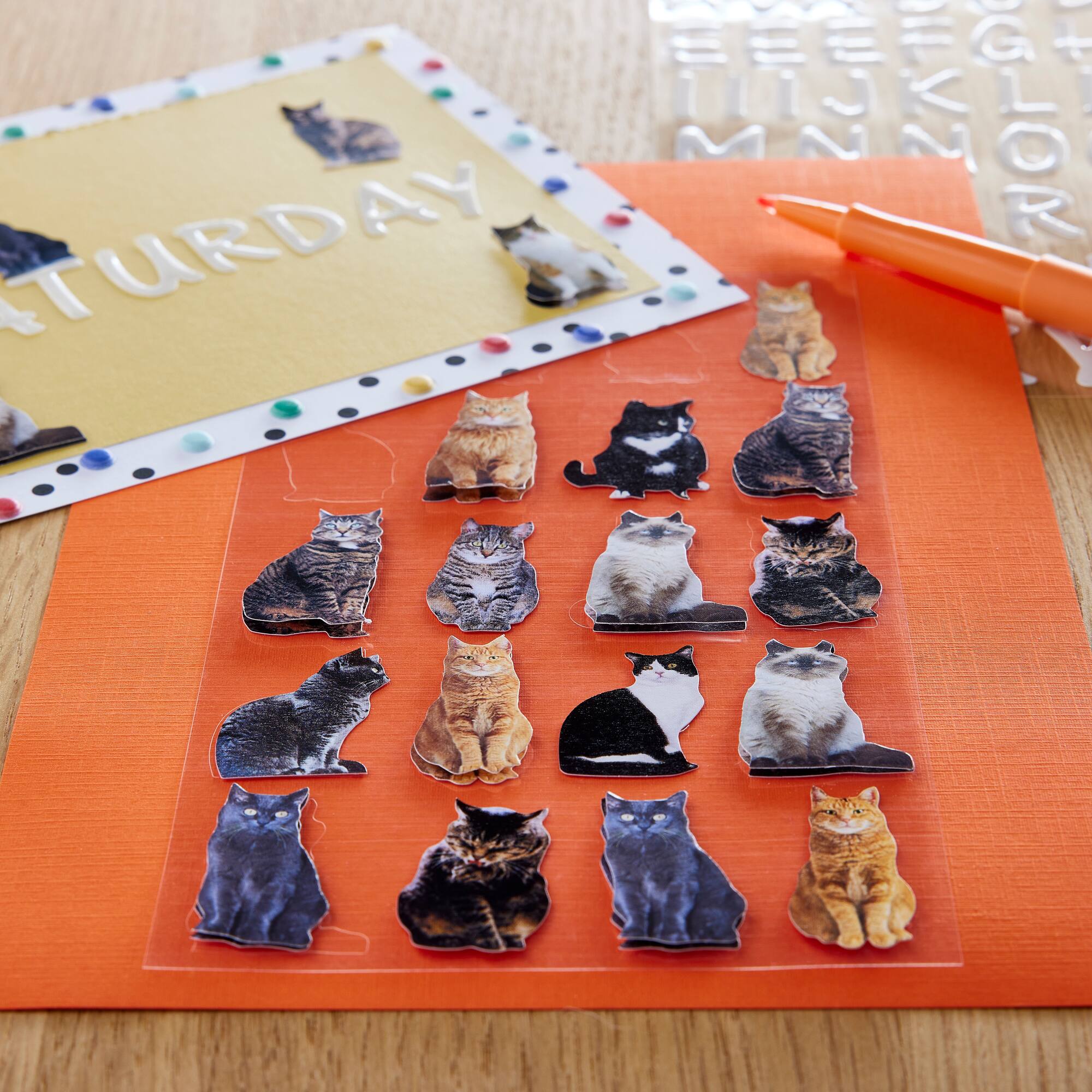 Mini Cat Stickers by Recollections™
